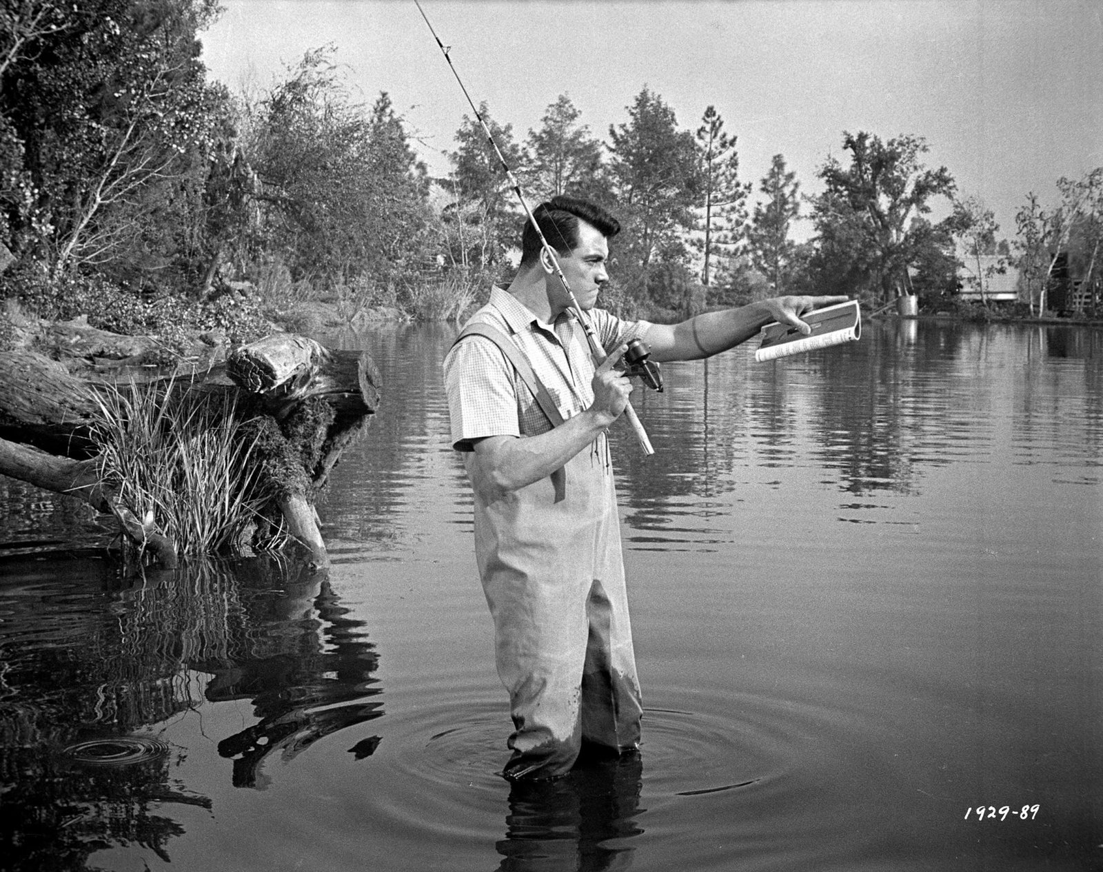 Ein Goldfisch an der Leine (blu-ray)