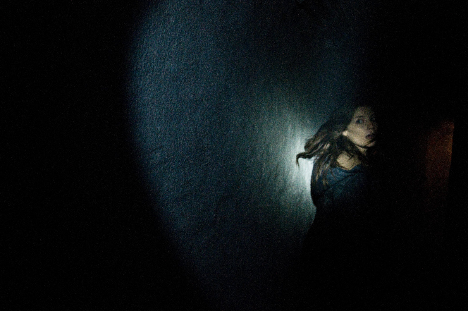 Chernobyl Diaries  (DVD)