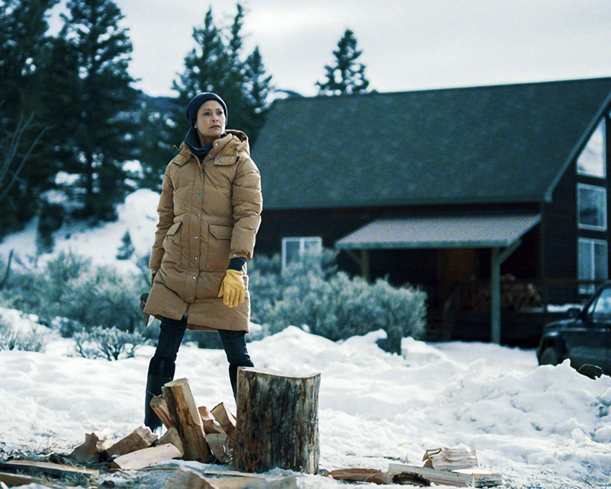 God's Country / Preisgekrönter packender Thriller mit den Stars aus „Yellowstone“ und „Westworld“  (Blu-ray Disc)