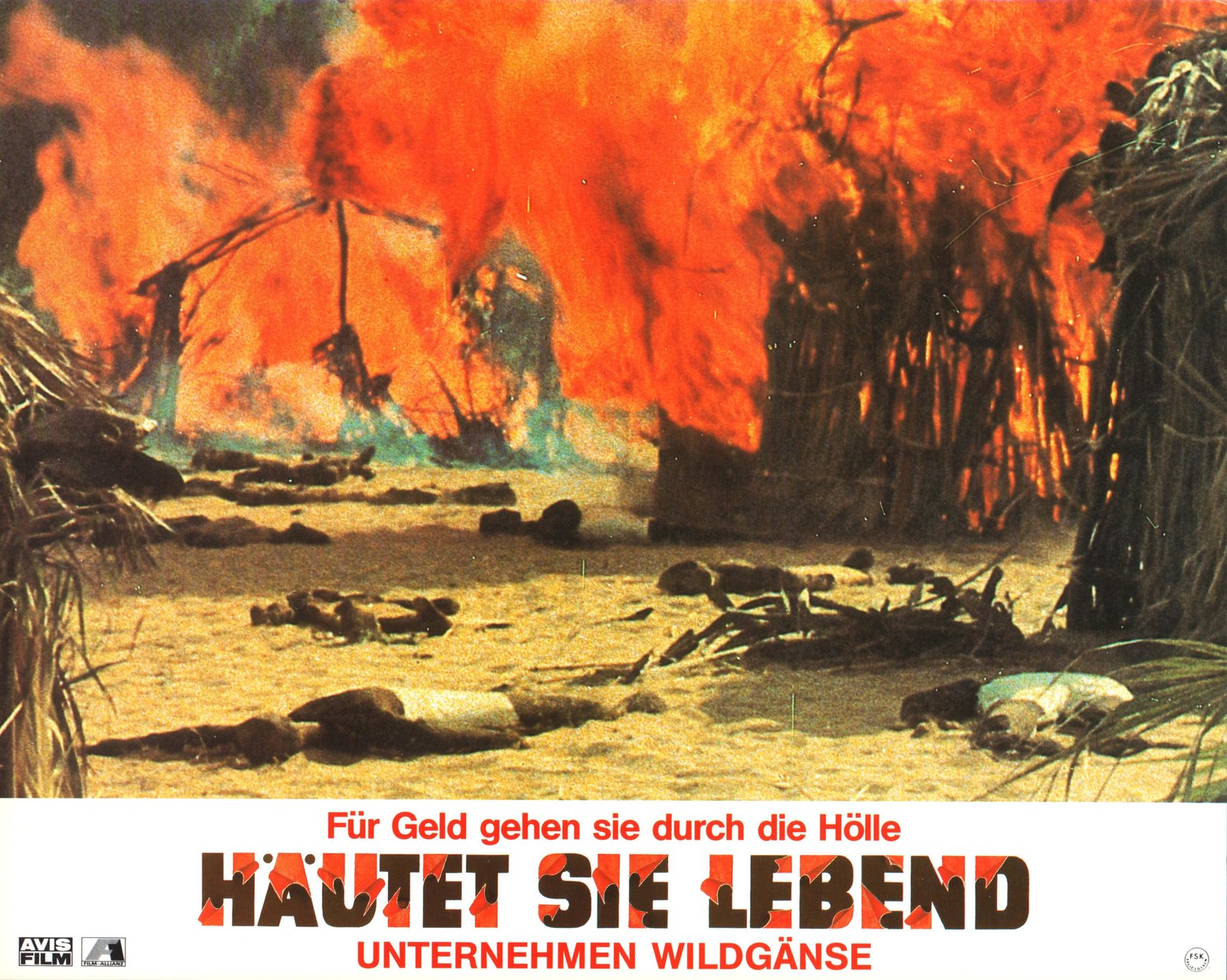 Häutet sie lebend! - Unternehmen Wildgänse  (DVD)