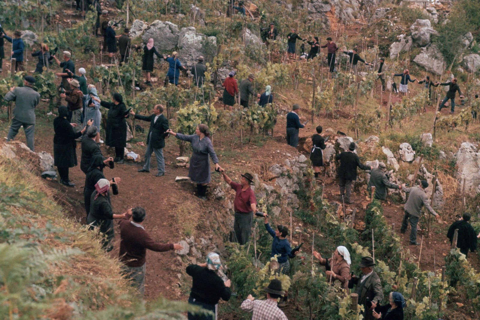 Geheimnis von Santa Vittoria, Das (blu-ray)