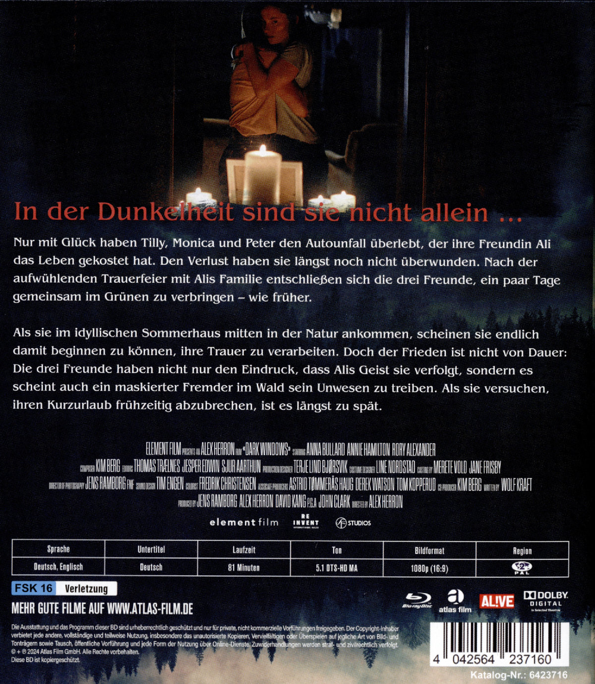 Dark Windows - Fenster zur Finsternis  (Blu-ray Disc)