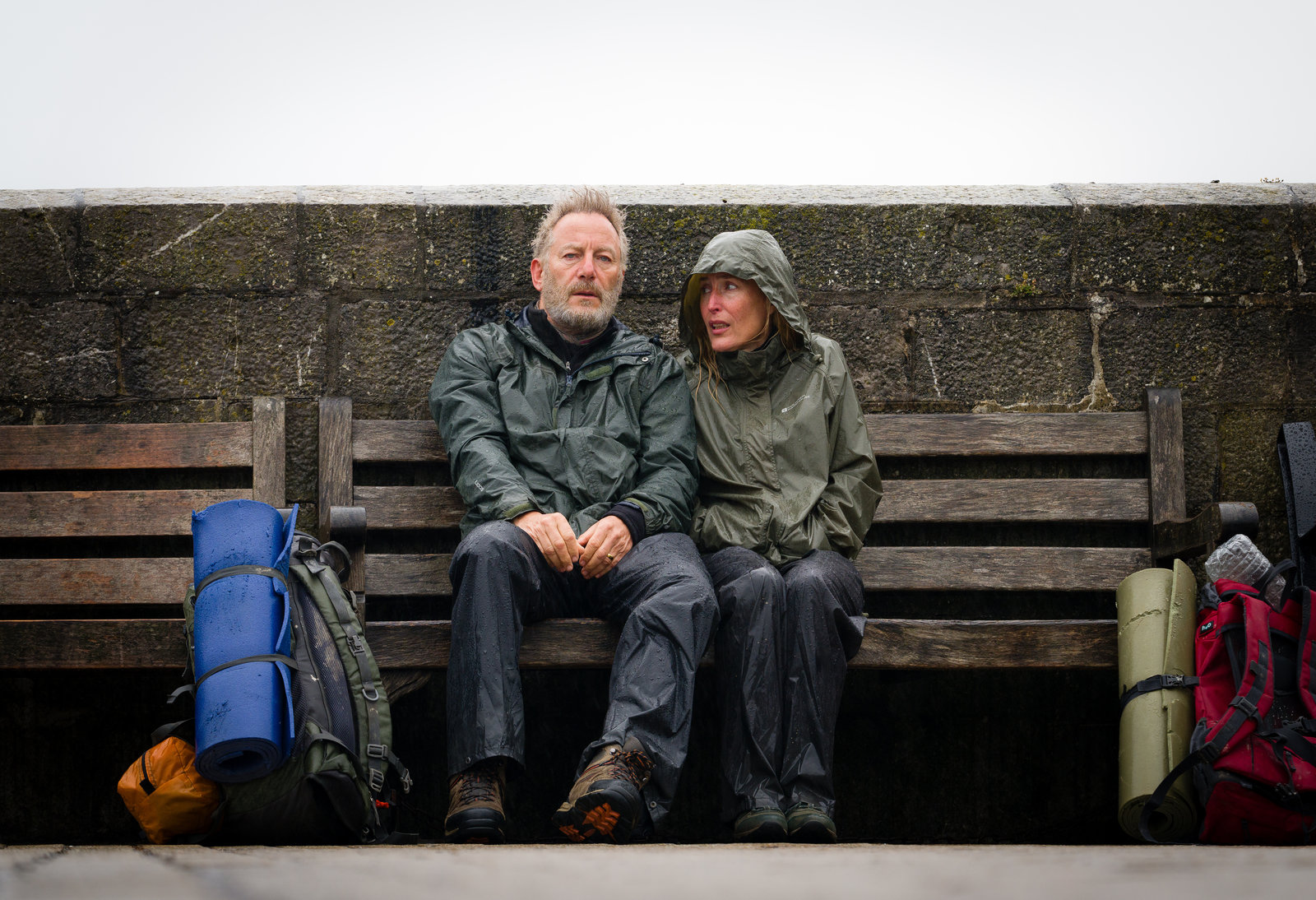 Der Salzpfad  (Blu-ray Disc)