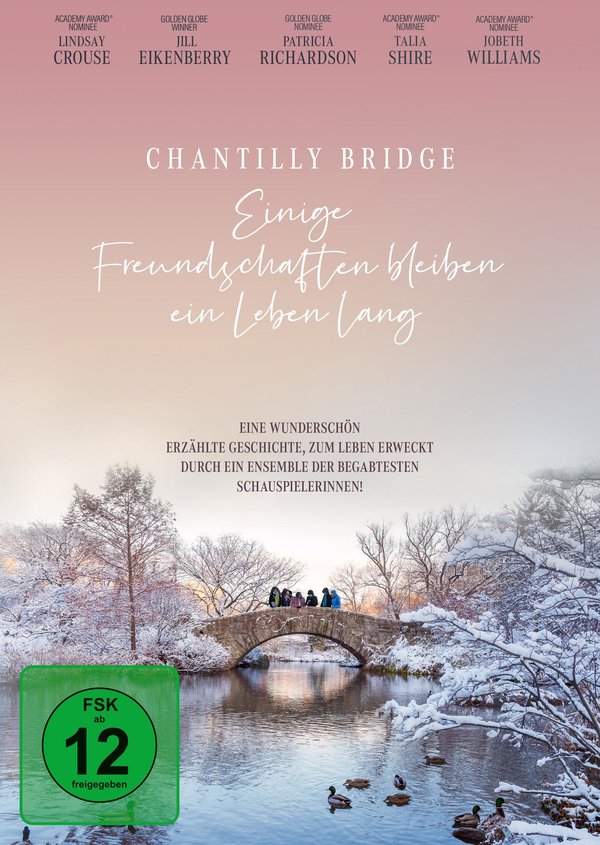 Chantilly Bridge - Einige Freundschaften bleiben ein Leben lang  (DVD)