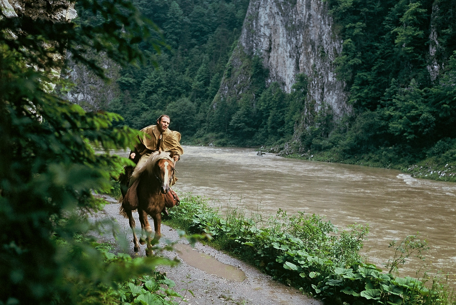 Werner Herzog Collection (blu-ray)