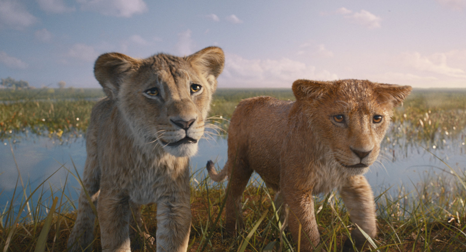 Mufasa - Der König der Löwen  (Blu-ray Disc)