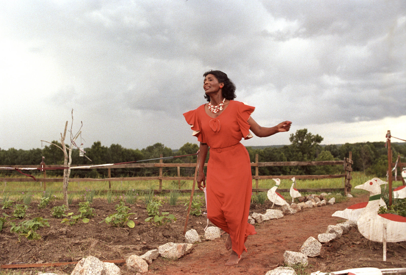 Die Farbe Lila  (DVD)