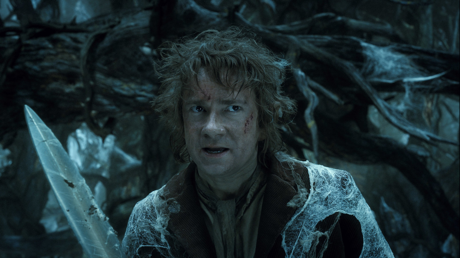 Hobbit, Der: Smaugs Einöde 3D (3D blu-ray)