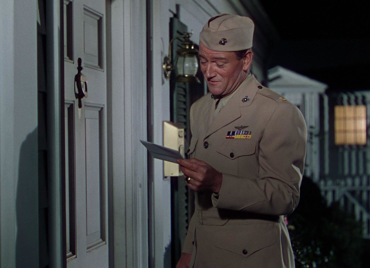 Stählerne Schwingen